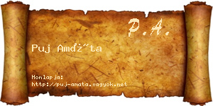 Puj Amáta névjegykártya